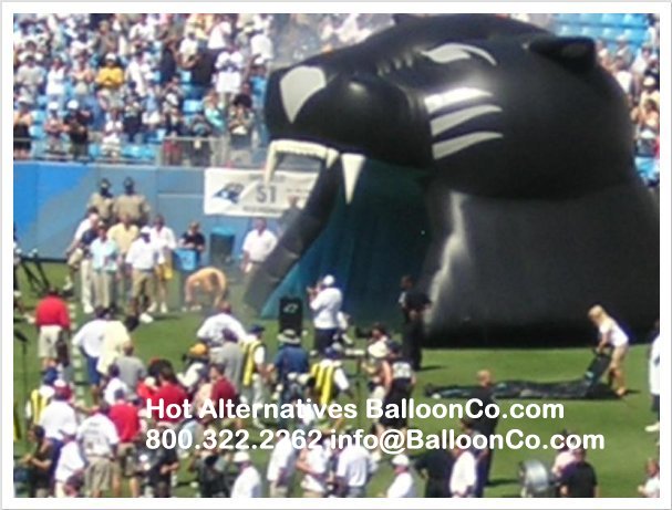 Carolina Panthers Football Tunnel on Field sidelines